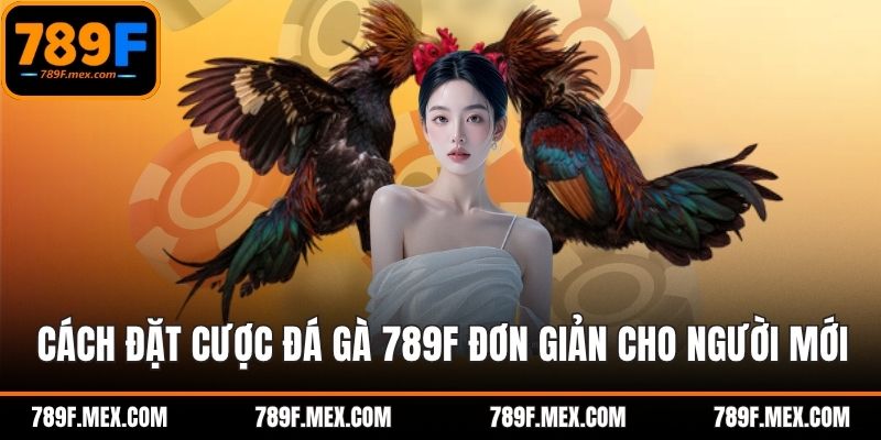Cách đặt cược đá gà 789F đơn giản cho người mới
