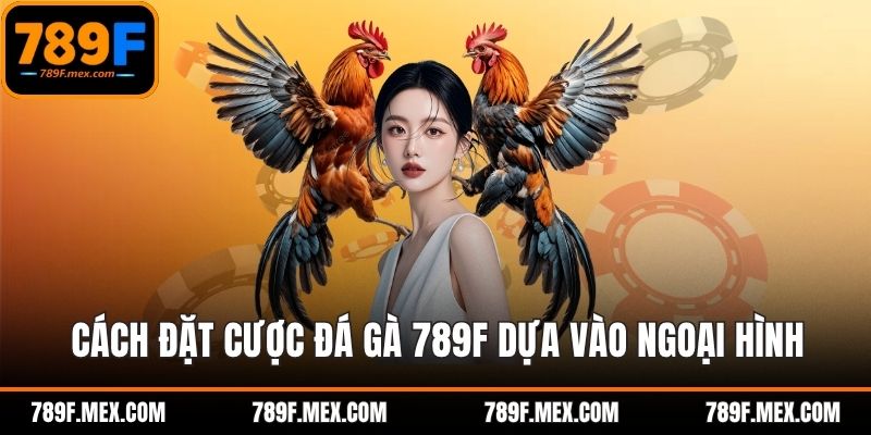 Cách đặt cược đá gà 789F dựa vào ngoại hình