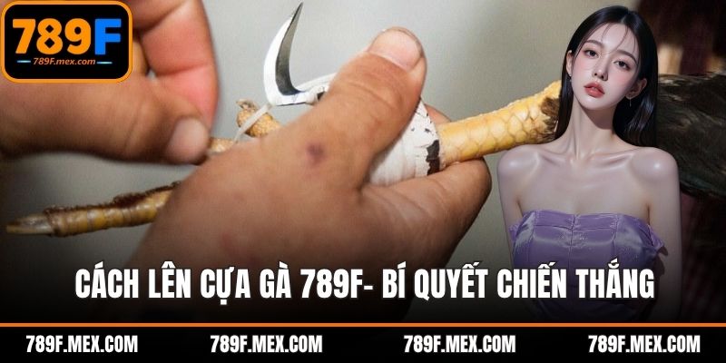 Cách Lên Cựa Gà 789F- Bí Quyết Chiến Thắng Cuộc Chiến