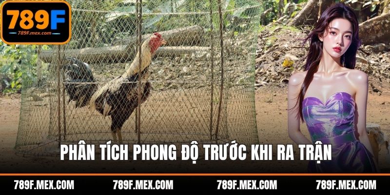 Phân tích phong độ trước khi ra trận
