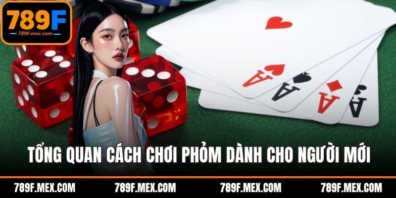 Tổng quan cách chơi phỏm dành cho người mới