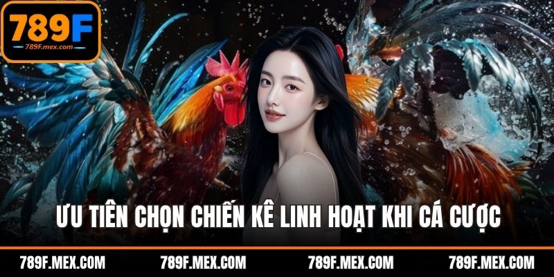 Ưu tiên chọn chiến kê linh hoạt khi tham gia cá cược